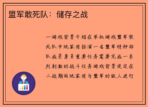 盟军敢死队：储存之战